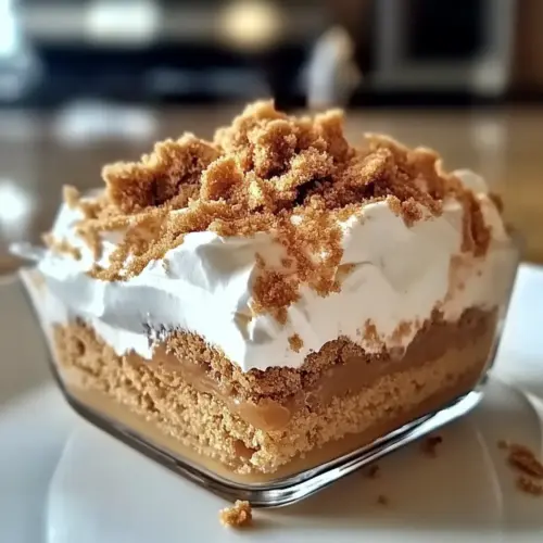 Creamy Biscoff Cookie Pudding