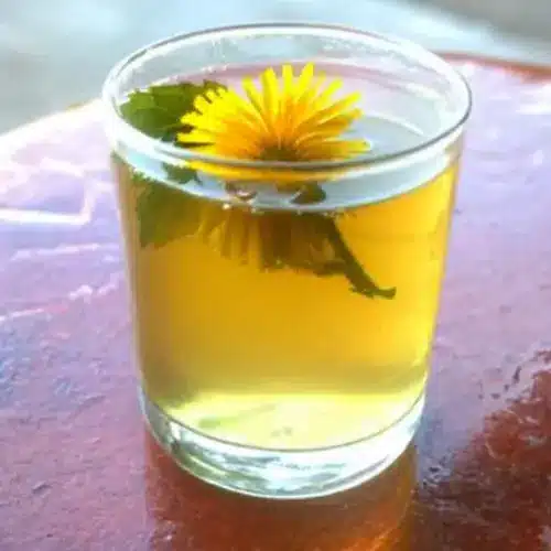 Dandelion Iced Tea