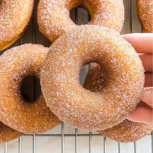 Cinnamon Sugar Vegan Donuts