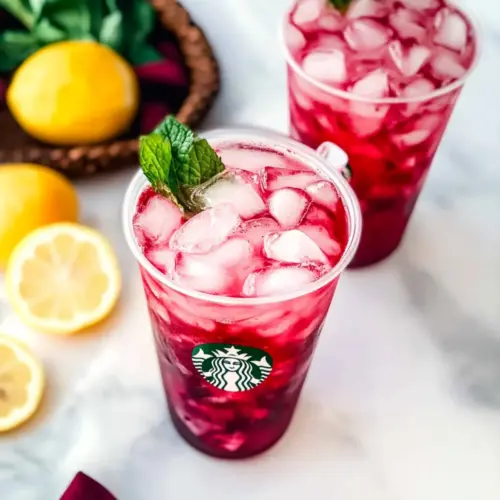 Starbucks Iced Passion Tango Tea Recipe