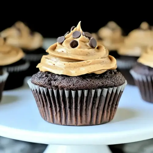Chocolate Zucchini Cupcakes